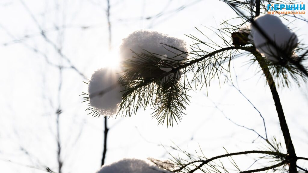 Зимовий Соколовський кар’єр у Житомирі: мороз, сонце і крига