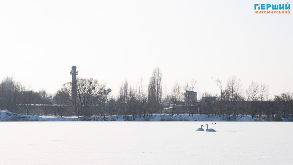 Зимовий Соколовський кар’єр у Житомирі: мороз, сонце і крига