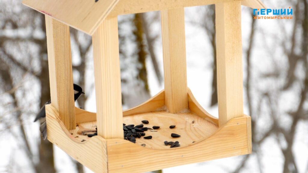 У Житомирі стартував дитячий конкурс годівничок: організатори приймають роботи...