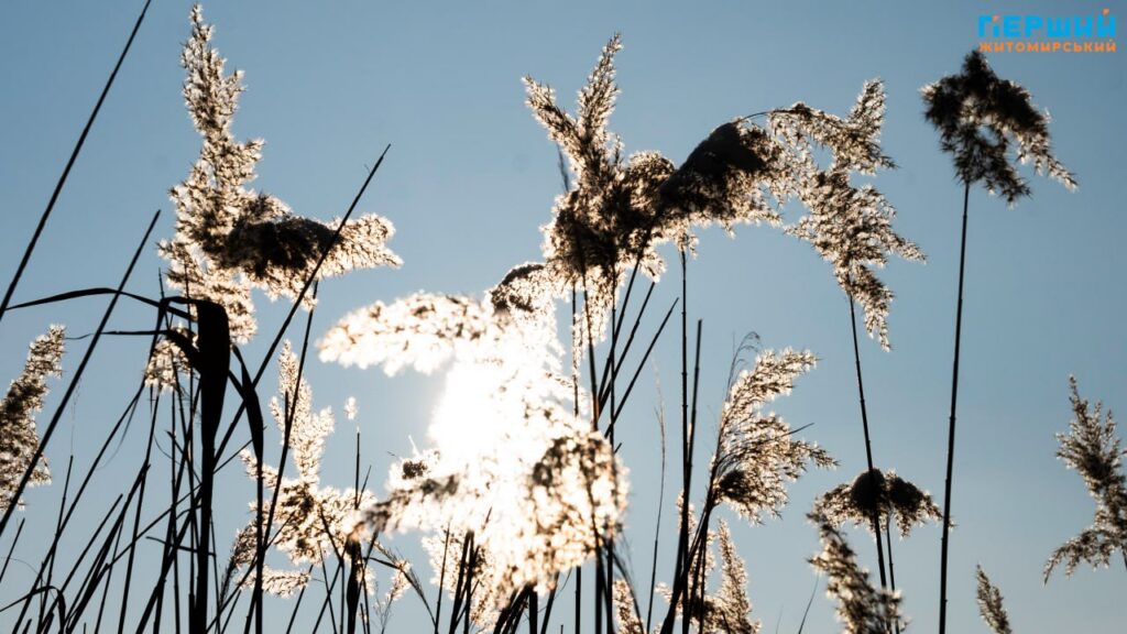 Зимовий Соколовський кар’єр у Житомирі: мороз, сонце і крига