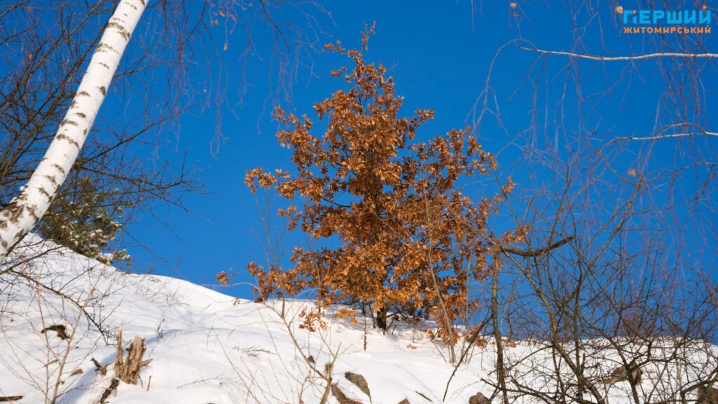 Зимовий Соколовський кар’єр у Житомирі: мороз, сонце і крига