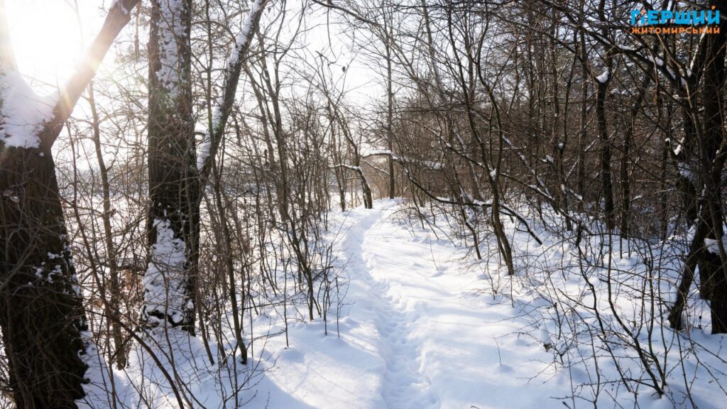 Зимовий Соколовський кар’єр у Житомирі: мороз, сонце і крига