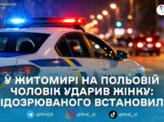 Напад на жінку в Житомирі: поліція розслідує хуліганство на Польовій
