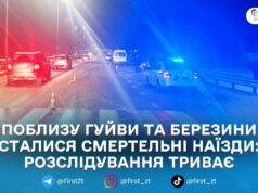 У Житомирському районі за вихідні у ДТП загинули велосипедист і пішохід — поліція