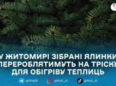 У Житомирі «Зеленбуд» приймає новорічні ялинки та сосни на утилізацію