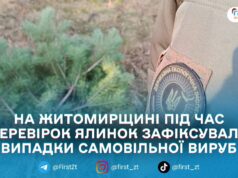 На Житомирщині під час операції «Новорічна ялинка» виявили 22 порушення через незаконну вирубку — ДЕІ