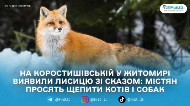 сайт головна - 2026-01-07T115441.865