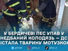 У Бердичеві рятувальники витягли собаку з каналізаційного колодязя завглибшки близько 4 метрів