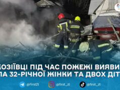 В Житомирському районі на пожежі загинули жінка та двоє дітей, ще одну дитину госпіталізували. ВІДЕО