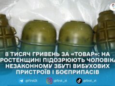 На Коростенщині затримали 20-річного жителя Овруцької громади за підозрою у збуті гранат і набоїв