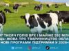 Житомирщина — серед лідерів тваринництва: ЖОВА назвала показники та анонсувала розширення держпідтримки агросектору у 2026 році