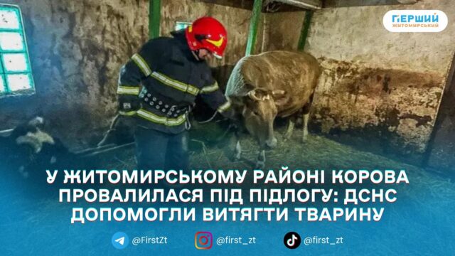 сайт головна - 2026-01-30T094757.540