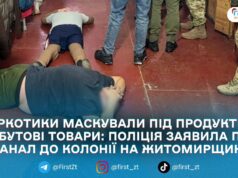На Житомирщині викрили канал постачання наркотиків до колонії в Бердичівському районі — підозру оголосили киянину