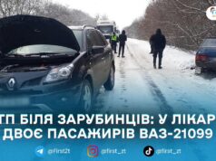 На Бердичівщині зіткнулися Renault і ВАЗ: травмовані двоє пасажирів