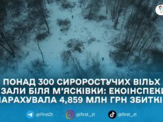 Майже 4,9 млн грн збитків: у Чуднівській громаді виявили незаконну порубку понад 300 дерев