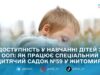 Як у Житомирі забезпечують наступність у навчанні дітей з ООП: досвід спеціального садка №59