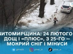 Відлига з дощем зміниться похолоданням: прогноз погоди на Житомирщині на 23 лютого – 1 березня