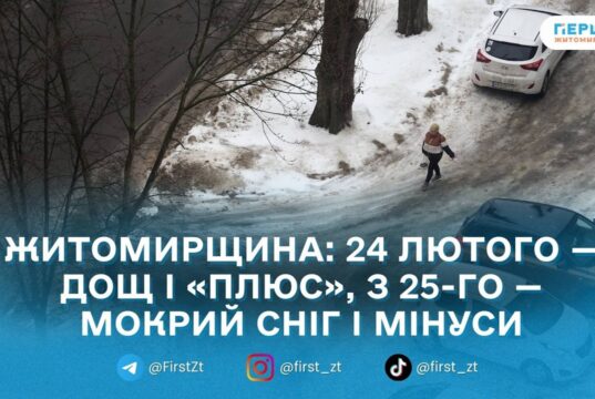 Відлига з дощем зміниться похолоданням: прогноз погоди на Житомирщині на 23 лютого – 1 березня