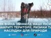 1461 день повномасштабного вторгнення: як 4 роки великої війни змінили навколишнє середовище серця Поліського регіону – Житомирщини