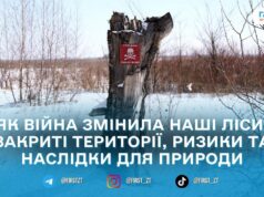 1461 день повномасштабного вторгнення: як 4 роки великої війни змінили навколишнє середовище серця Поліського регіону – Житомирщини
