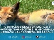 Сказ на Житомирщині: у 2026 році вже зафіксували 10 випадків серед тварин