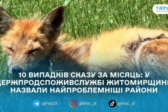 Сказ на Житомирщині: у 2026 році вже зафіксували 10 випадків серед тварин