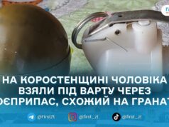 Хизувався гранатою: на Коростенщині поліцейські затримали чоловіка за незаконне зберігання боєприпасу