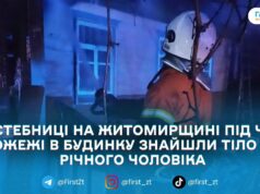У Житомирському районі під час пожежі в дерев’яному будинку загинув господар