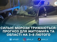 У Житомирі водій Volkswagen врізався у припаркований напівпричіп: у крові — 1,83 проміле