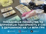 Незаконний збут деревини на понад 1,4 млн грн: прокуратура завершила розслідування щодо посадовців ДП «Ліси України» та підприємців