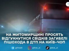 Поліція шукає свідків смертельної ДТП на трасі Київ–Чоп у селі Іванівці