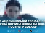 В Андрушівській громаді 16-річна дівчина вистрілила в собаку з пневматичної гвинтівки — поліція відкрила провадження