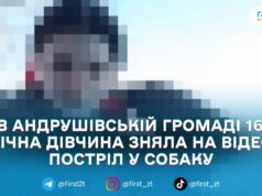 В Андрушівській громаді 16-річна дівчина вистрілила в собаку з пневматичної гвинтівки — поліція відкрила провадження