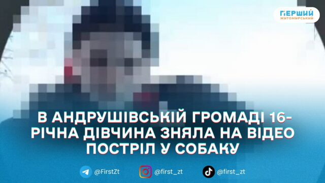 В Андрушівській громаді 16-річна дівчина вистрілила в собаку з...