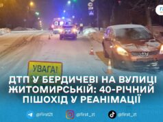 У Бердичеві Nissan Qashqai збив пішохода на регульованому переході: чоловіка госпіталізували в реанімацію