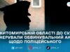 Поліцейського судитимуть за насильство щодо жінки під час службового виклику