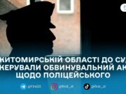 Поліцейського судитимуть за насильство щодо жінки під час службового виклику