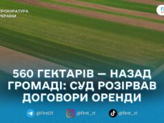 Через несплату оренди Лугинській громаді повернули 560 гектарів землі — прокуратура