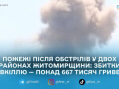 Понад 103,7 тонни вуглекислого газу: екоінспекція порахувала збитки від пожеж після атак на Коростенщині та Звягельщині