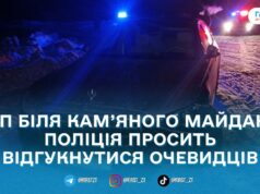 Поліція шукає свідків смертельної ДТП на трасі Київ–Чоп у Звягельському районі