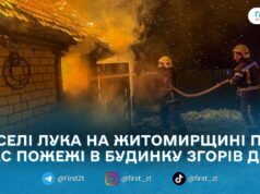 За добу на Житомирщині ліквідували 5 пожеж: у селі Лука згорів дах житлового будинку