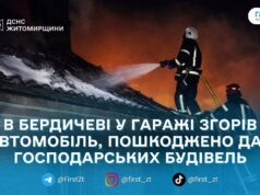 Бердичів: під час пожежі в гаражі згорів автомобіль, вогонь перекинувся на літню кухню