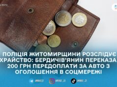 Замість авто – втрата коштів: у Бердичеві чоловік переказав 12,2 тис. грн шахраям