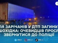 У передмісті Житомира в ДТП загинула жінка: поліція встановлює її особу та шукає свідків