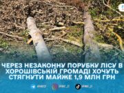 ДЕІ подала до суду позов на майже 1,9 млн грн через незаконну порубку лісу в Хорошівській громаді