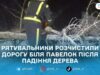 У Бердичівському районі рятувальники прибрали повалене дерево з дороги біля села Павелки