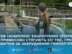 За забруднення річки Гнилоп’ять відкрили виконавче провадження щодо стягнення майже 540 тис. грн з ТОВ «КЕС»