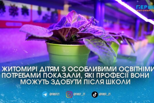 У Житомирі для дітей з ООП відкриють групи у профколеджі: можна буде опанувати фах квітникаря або штукатура