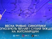 На Житомирщині потеплішає до +20, наприкінці тижня можливі зміни погоди