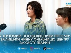 Центр захисту тварин у Житомирі продовжить роботу: у міській раді пояснили ситуацію